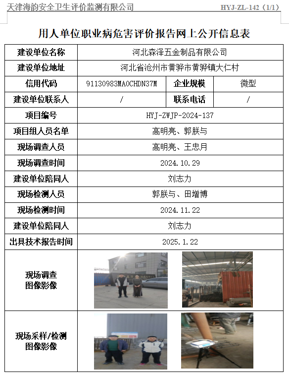河北森泽五金制品有限公司职业病危害评价报告网上公开信息表
